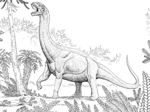 Darstellung eines Sauropoden aus dem Jura (Illustrated by Russell Hawley, Tate Geological Museum)