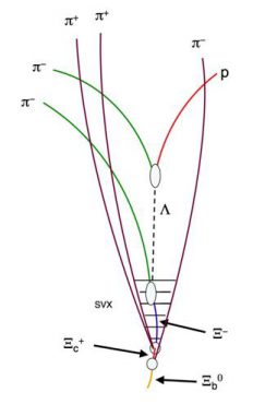 Schematische Darstellung der bei der Kollision und dem Zerfall entstandenen Teilchen (CDF Collaboration)