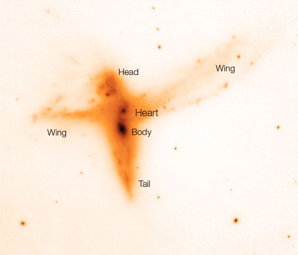 "The Bird" im K-Band. Die Beschriftungen verdeutlichen die verschiedenen "Körperteile". (ESO)