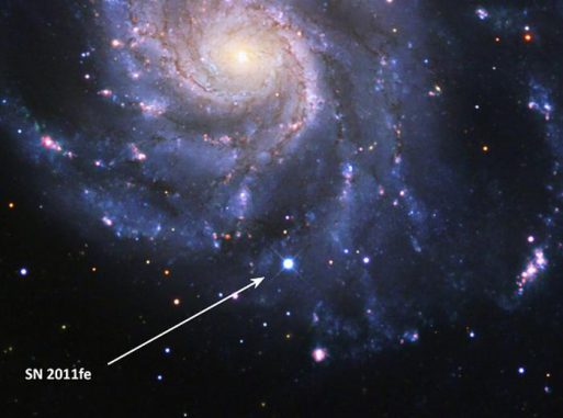 Die Supernova SN 2011fe (Pfeil) in der Feuerrad-Galaxie im Sternbild Großer Bär. Ihr Spektrum stellt einen Maßstab dar, an dem zukünftige Beobachtungen von Typ-Ia-Supernovae gemessen werden können. (B. J. Fulton, Las Cumbres Observatory Global Telescope Network)