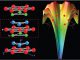 BiTel besteht aus Bismut-Schichten (Bi), Tellur-Schichten (Tel) und Jod-Atomen (I). Das Material kann paramagnetische und diamagnetische Eigenschaften aufweisen. (Copyright 2012 Mohammad Saeed Bahramy, RIKEN Advanced Science Institute)