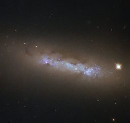 NGC 4248, aufgenommen vom Weltraumteleskop Hubble. (Credits: ESA / Hubble & NASA)