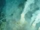 Vulkanische Unterwasserschlote vor Japan. (Credit: Pacific Ring of Fire 2004 Expedition, NOAA Office of Ocean Exploration)