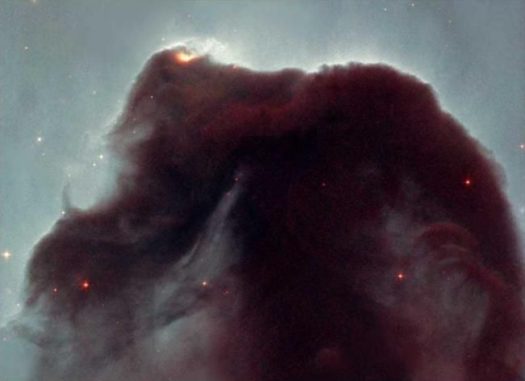 Ein Bild des Pferdekopfnebels im Sternbild Orion, aufgenommen in sichtbaren Wellenlängen. Der Staub der Dunkelwolke blockiert das Licht des hellen Nebels im Hintergrund. (Credits: NASA / Hubble, and Nigel A. Sharp, NOAO / AURA / NSF)