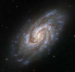 Hubble-Aufnahme der Spiralgalaxie IC 1954. (Credits: ESA / Hubble & NASA, J. Lee and the PHANGS-HST Team)
