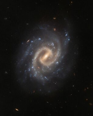 Hubble-Aufnahme der Spiralgalaxie UGC 12295. (Credits: ESA / Hubble & NASA, A. Filippenko, J. Lyman)