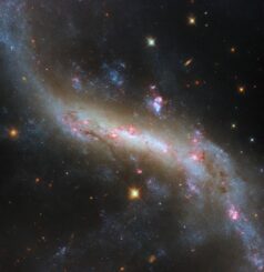 Hubble-Aufnahme der Balkenspiralgalaxie NGC 4731. (Credits: ESA / Hubble & NASA, D. Thilker)