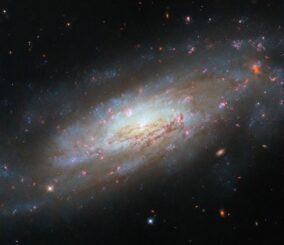 Hubble-Aufnahme der Galaxie NGC 4951. (Credits: ESA / Hubble & NASA, D. Thilker, M. Zamani (ESA / Hubble)