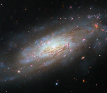 Hubble-Aufnahme der Galaxie NGC 4951. (Credits: ESA / Hubble & NASA, D. Thilker, M. Zamani (ESA / Hubble)