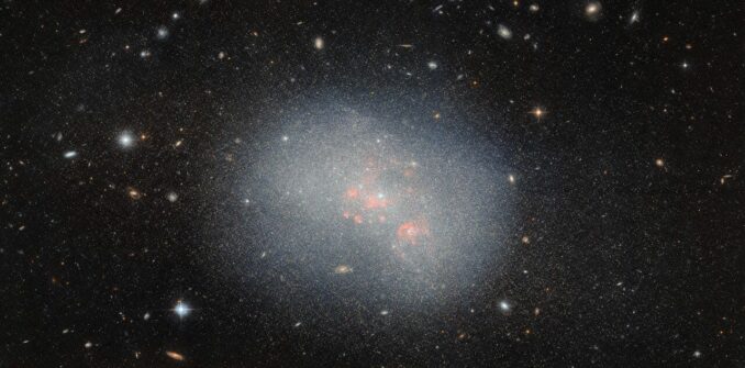 Hubble-Aufnahme der Zwerggalaxie NGC 5238. (Credits: ESA / Hubble & NASA, F. Annibali)