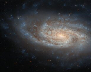 Hubble-Aufnahme der Galaxie NGC 3430. (Credits: ESA / Hubble & NASA, C. Kilpatrick)