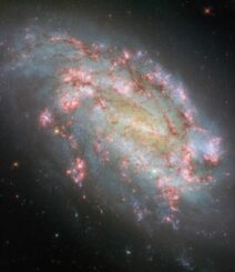 Hubble-Aufnahme der Galaxie NGC 1559. (Credits: ESA / Hubble & NASA, F. Belfiore, W. Yuan, J. Lee and the PHANGS-HST Team, A. Riess, K. Takáts, D. de Martin & M. Zamani (ESA / Hubble))