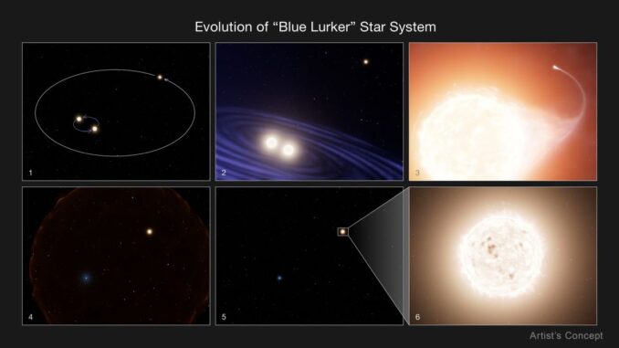 Entwicklung eines "Blue Lurker"-Sterns. (Credits: NASA, ESA, Leah Hustak (STScI))